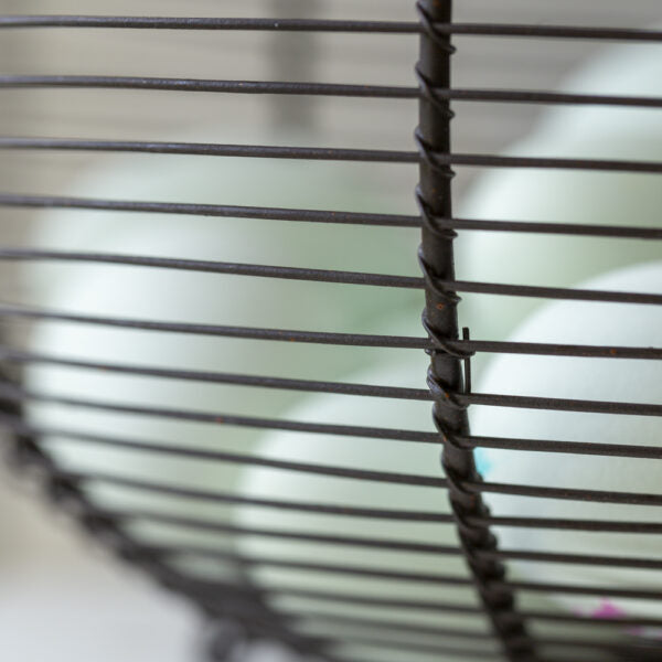 Wire Basket with Handle