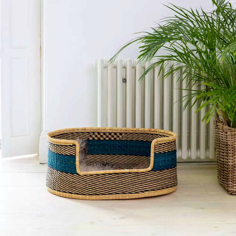 Bozo Dog Beds