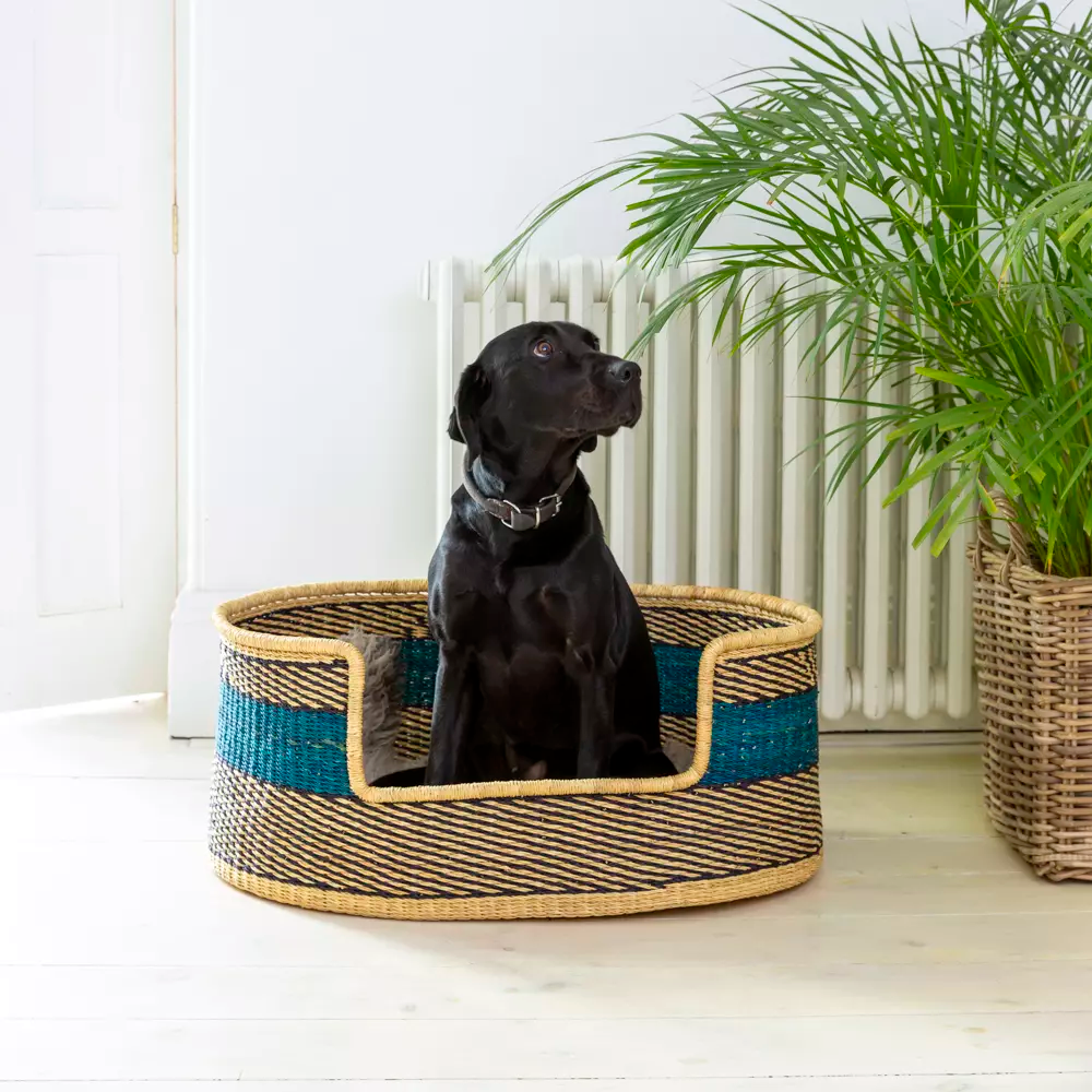 Bozo Dog Beds