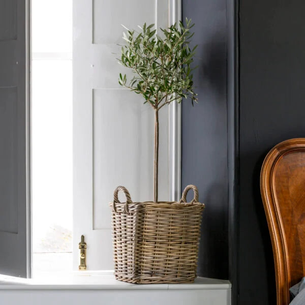 Kubu Lined Planter - Small