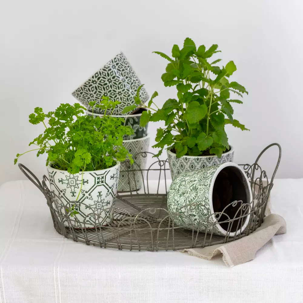 Round Wire Tray - Set of 2