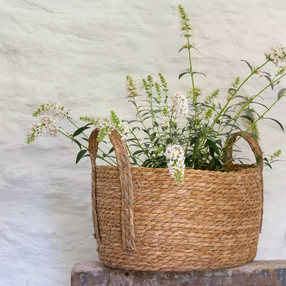 Oval Seagrass Basket With Handles - Pack Of 3
