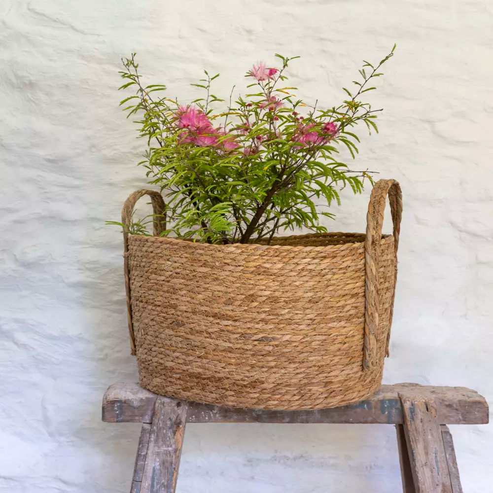 Oval Seagrass Basket With Handles - Pack Of 3