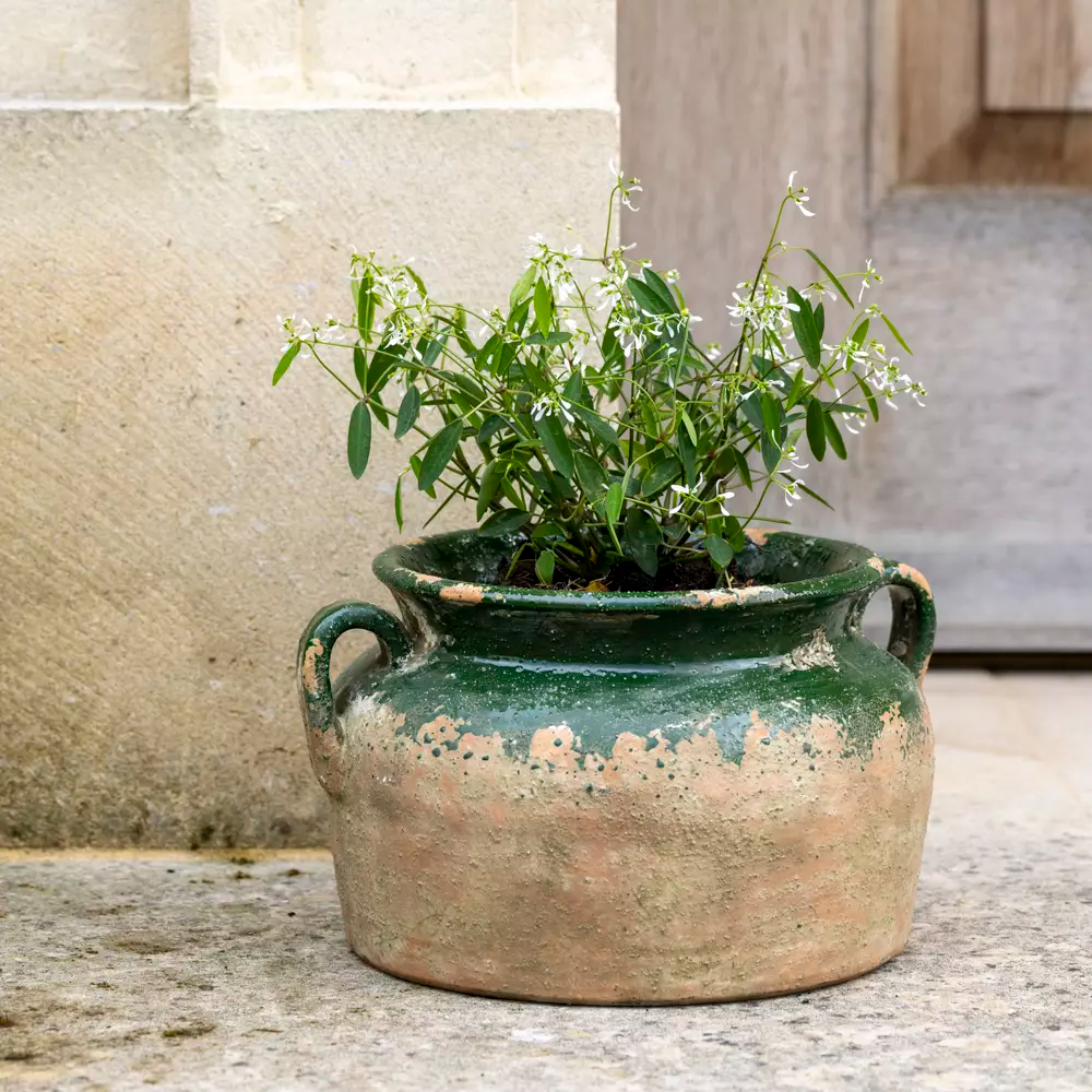 Terracotta Pot - Green