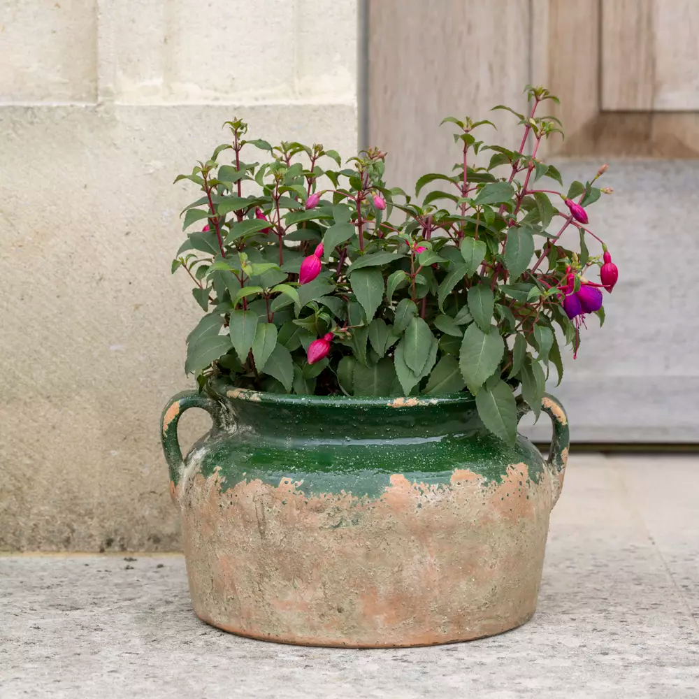 Terracotta Pot - Green