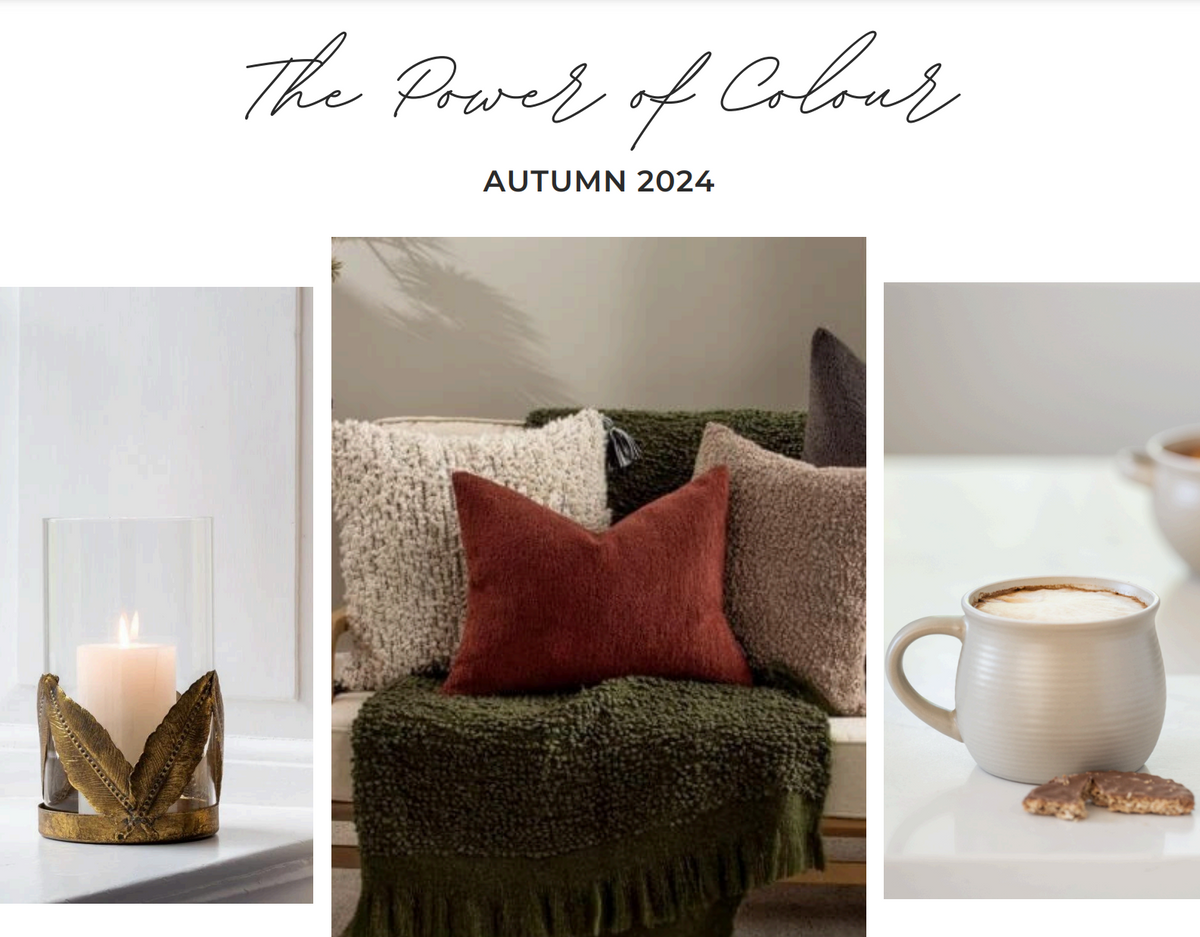 The Power Of Colour - Autumn 2024