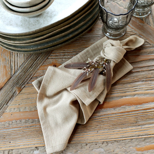 Aix Cloth Napkin (set of 4)
