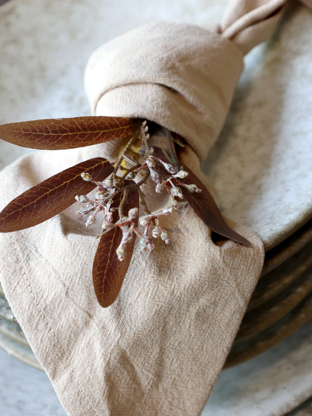 Aix Cloth Napkin (set of 4)