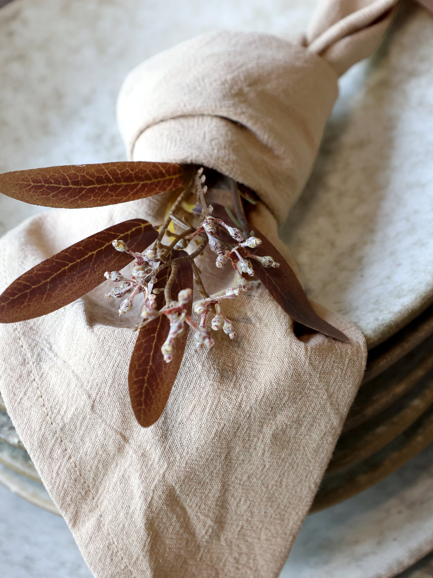 Aix Cloth Napkin (set of 4)