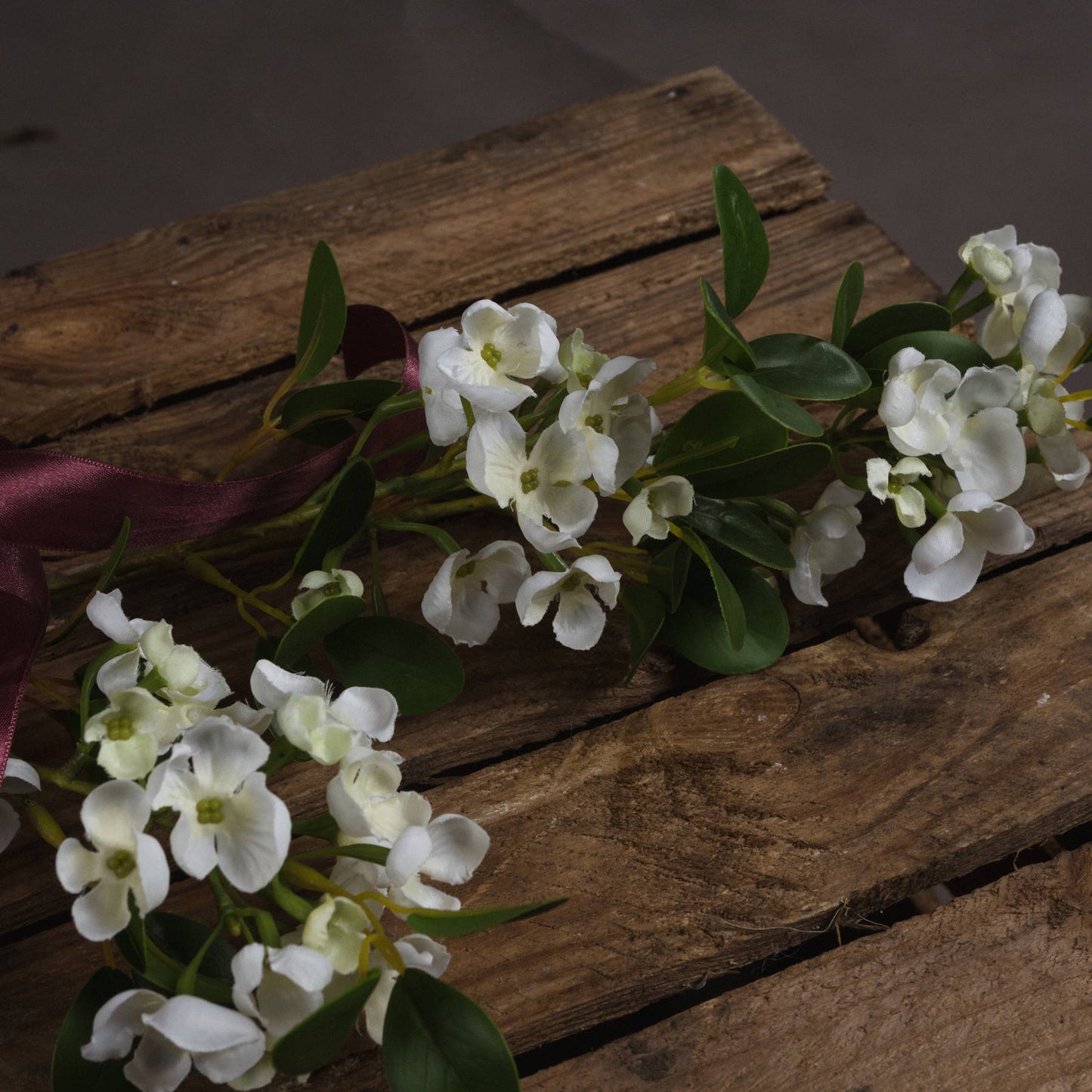 White spring mock orange flower
