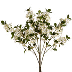 White spring mock orange flower
