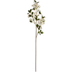 White spring mock orange flower