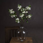 White spring mock orange flower