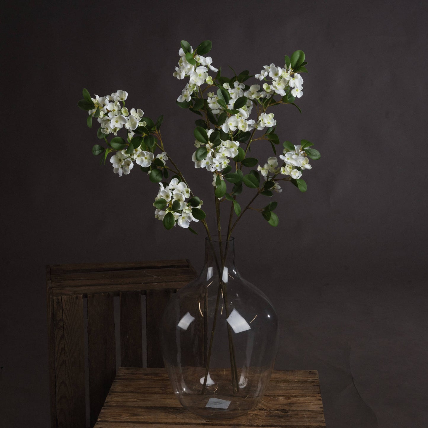 White spring mock orange flower