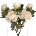 White fashion peony
