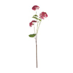 Red Autumnal Viburnum