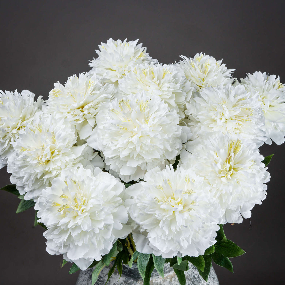 Classic white peony