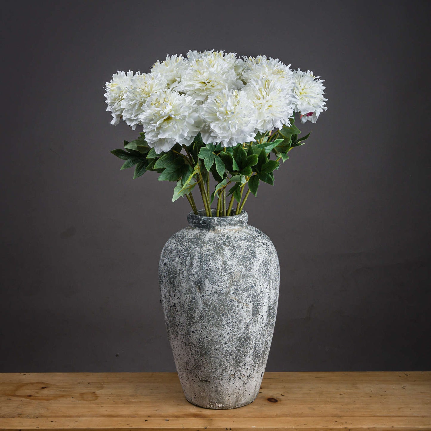 Classic white peony