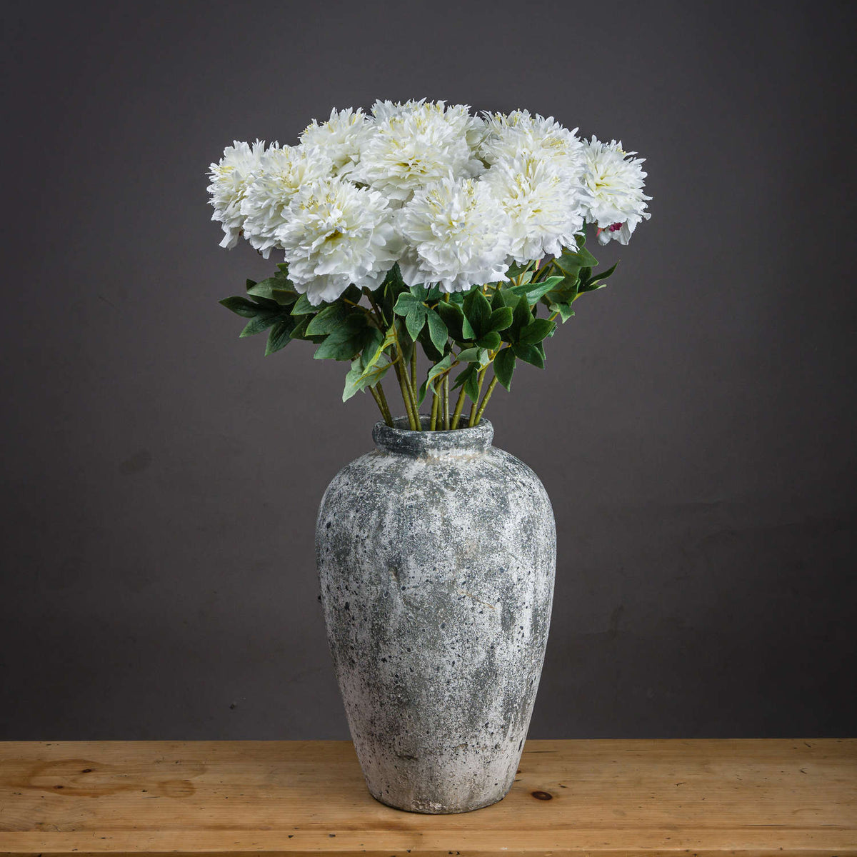 Classic white peony