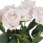 Pastel pink tea rose