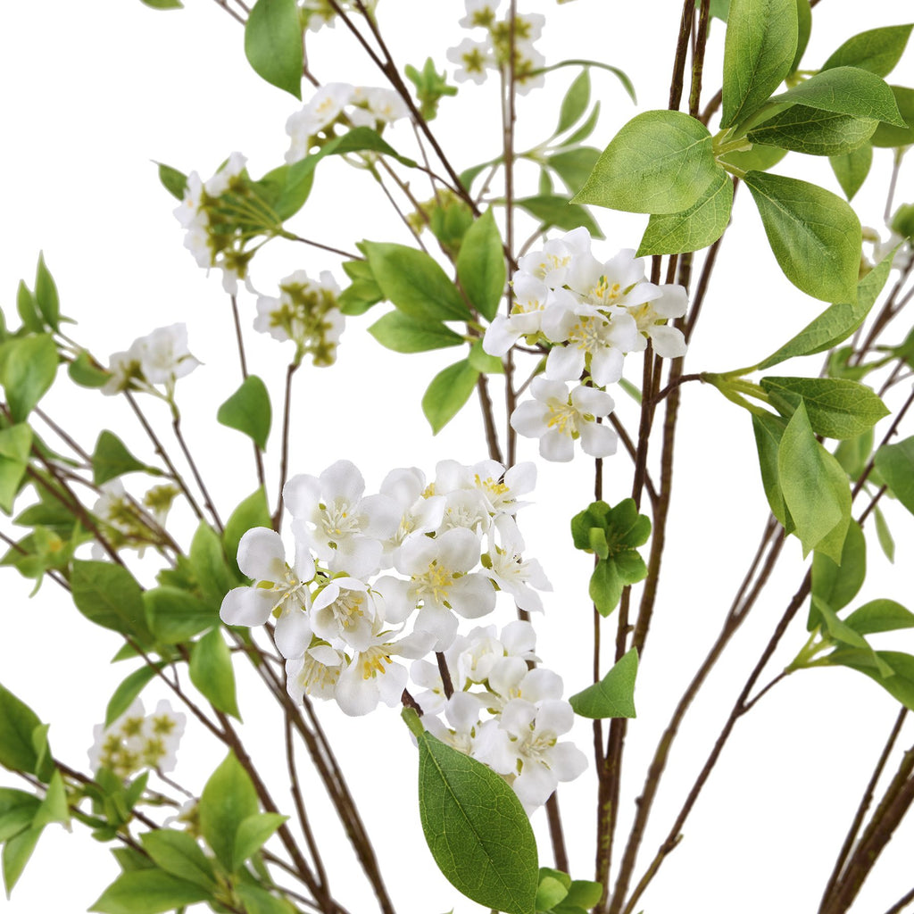 Tall Mock Orange Spray