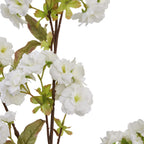 Tall white Blossom