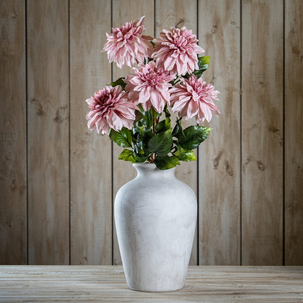Pink Dahlia