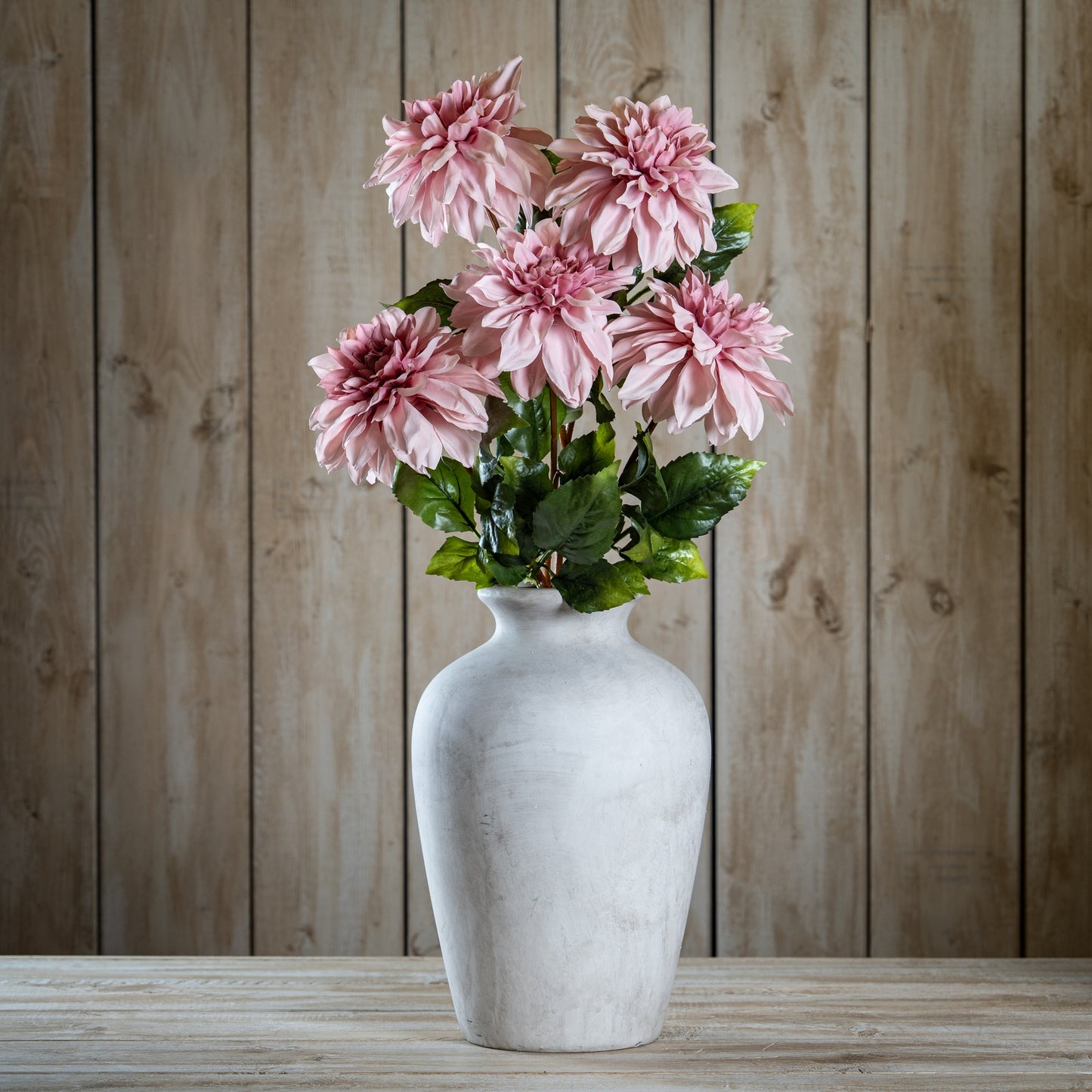 Pink Dahlia