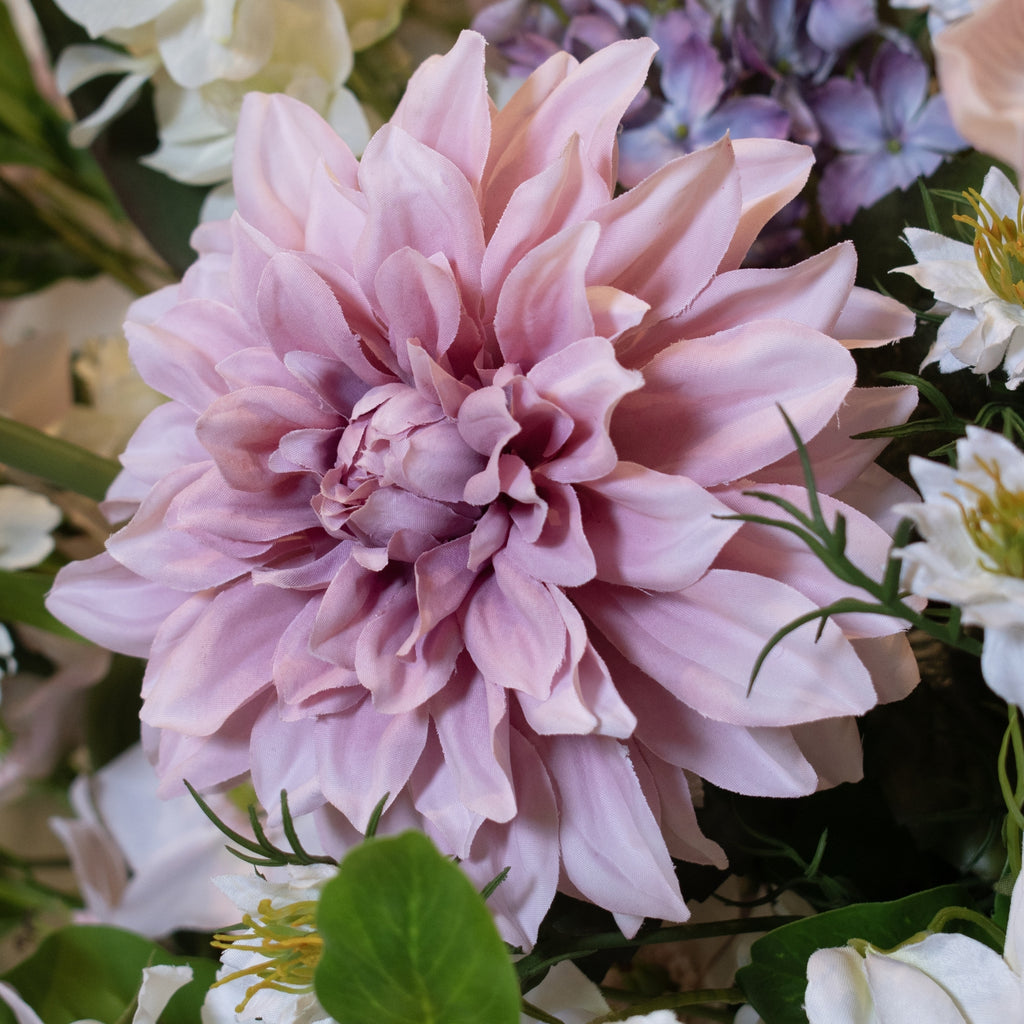 Pink Dahlia