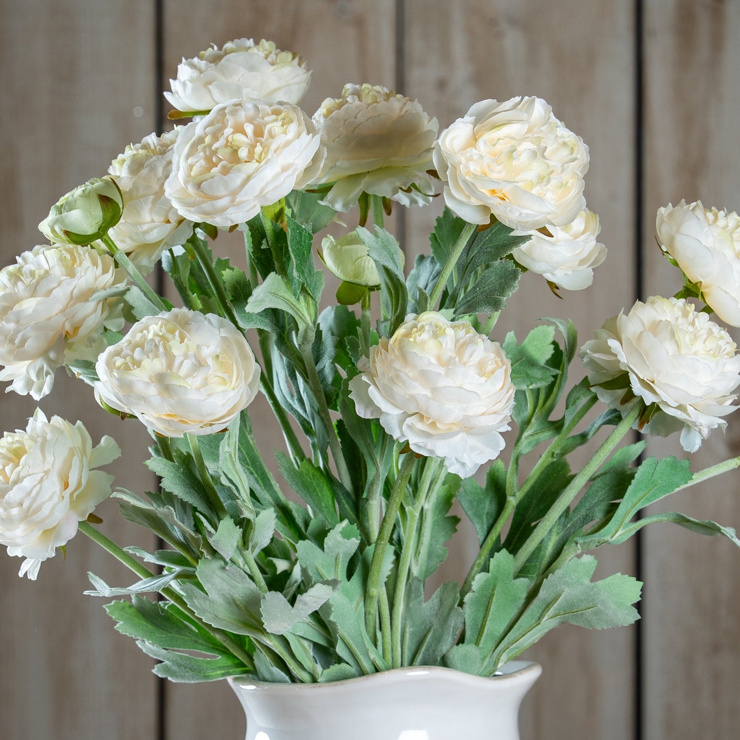 White Ranunculus
