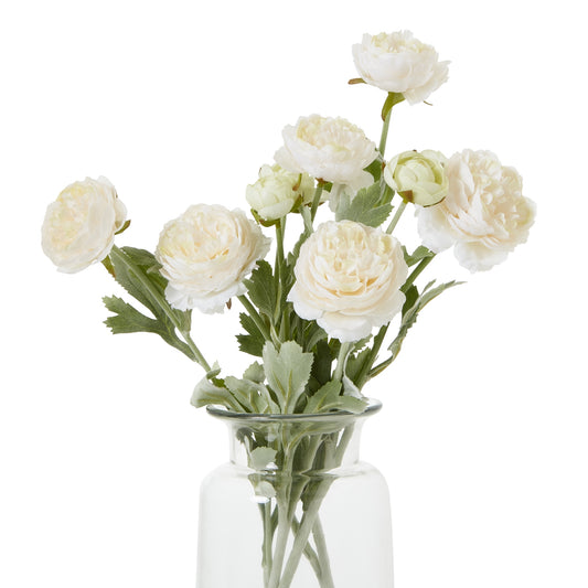 Apricot Ranunculus