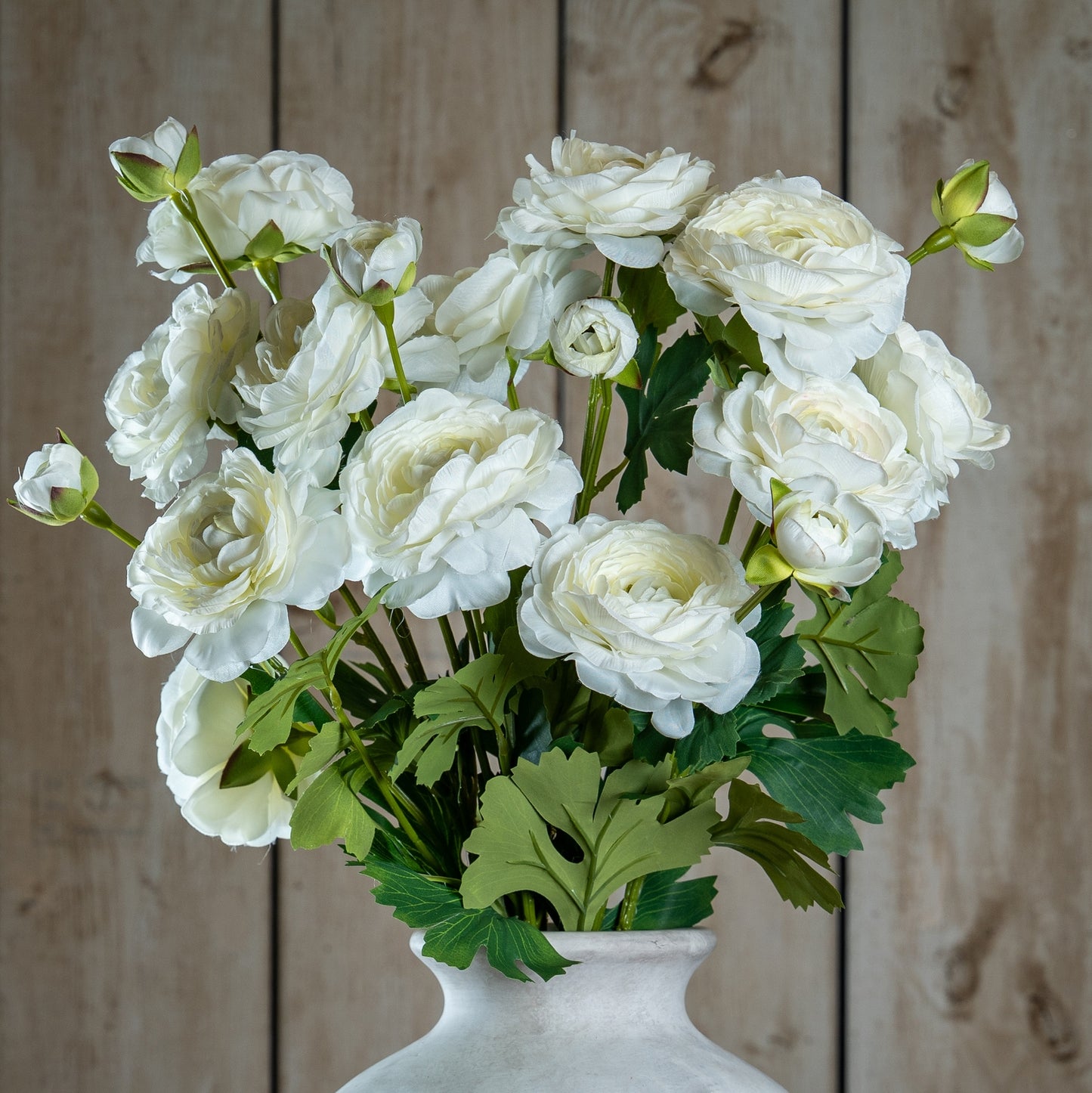 Apricot Ranunculus