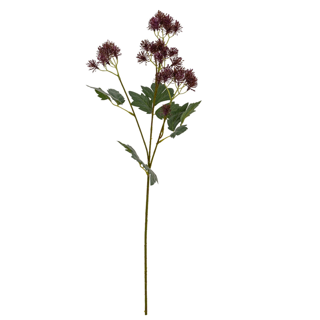 Purple French Meadow Spray