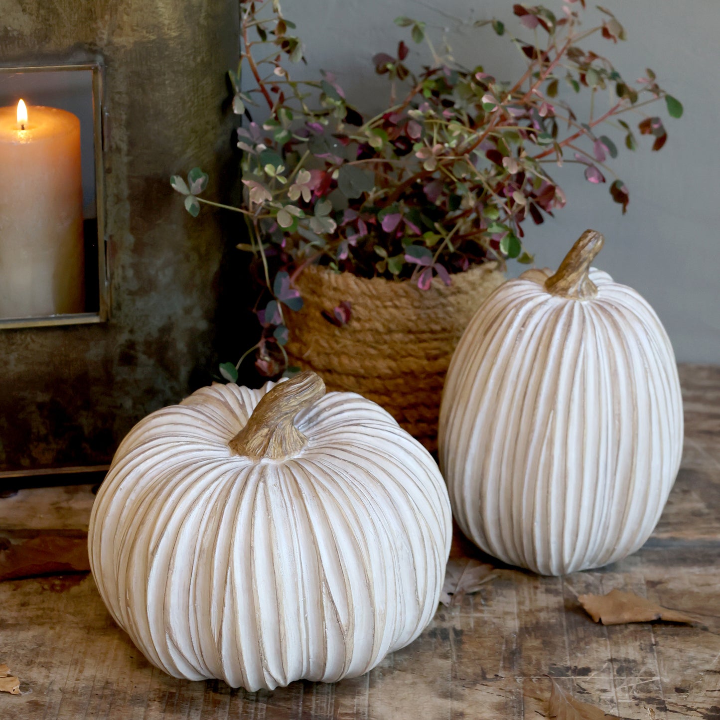 Antique White Pumpkin