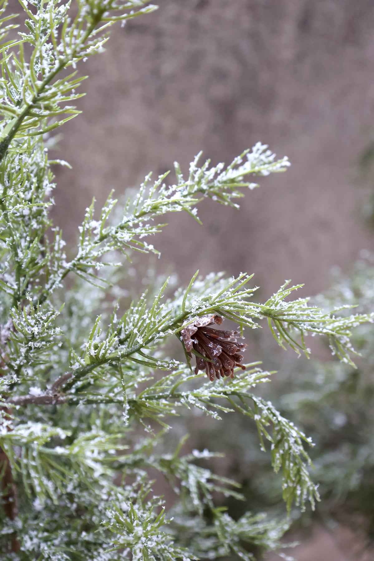 Fleur Pine Tree with Cones & Snow