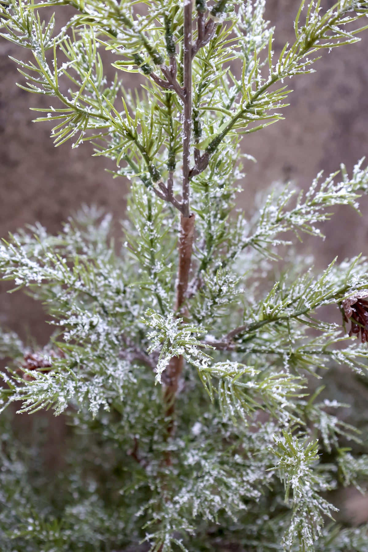 Fleur Pine Tree with Cones & Snow