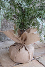 Fleur Pine Tree with Cones & Snow