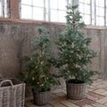 Fleur Pine Tree w. basket & 60 LED-lights