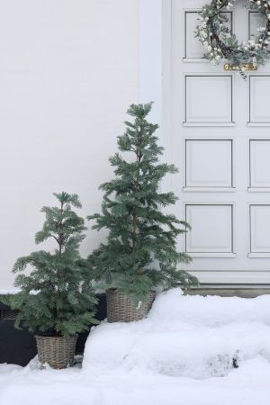 Fleur Pine Tree w. basket & 60 LED-lights