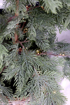 Fleur Pine tree with Basket and 60 LED lights
