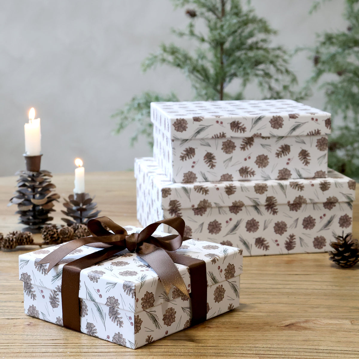 Pine Cone Boxes Set of 3