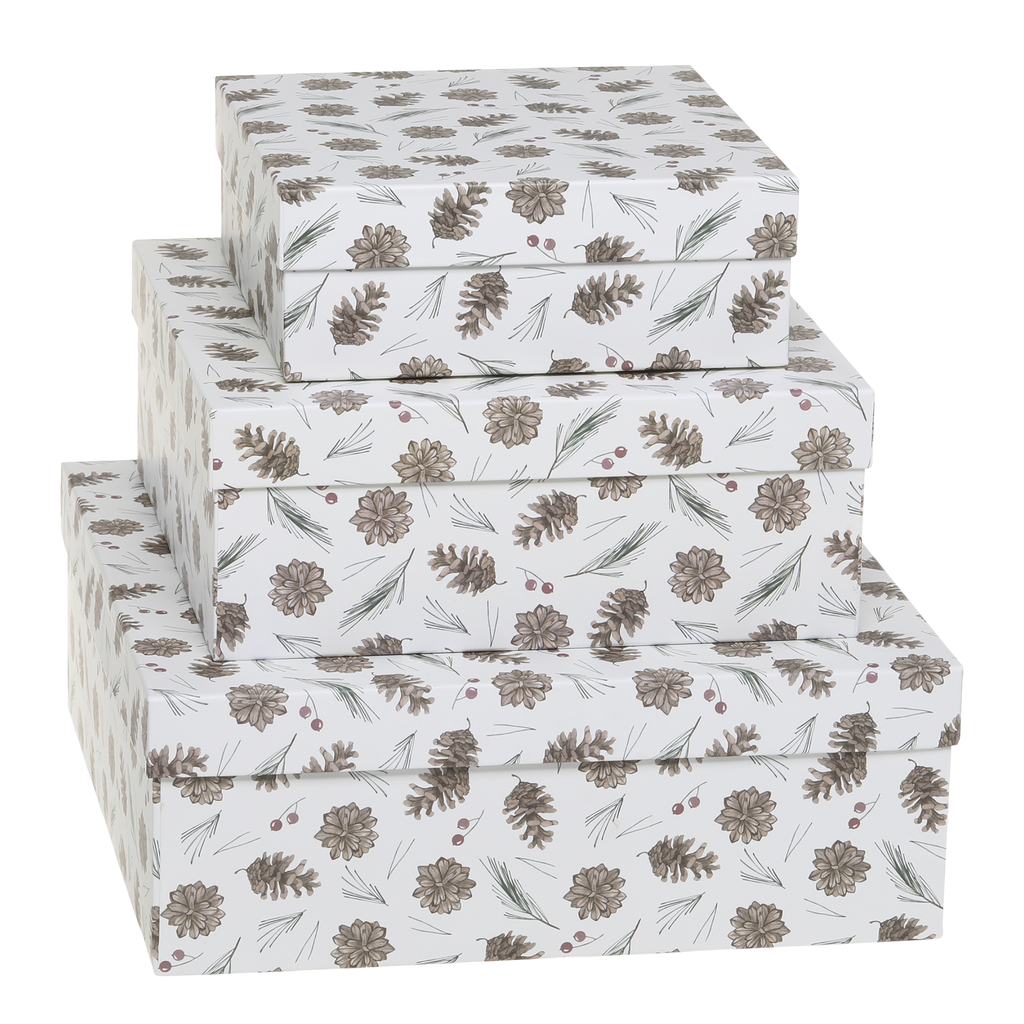 Pine Cone Boxes Set of 3