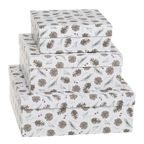 Pine Cone Boxes Set of 3