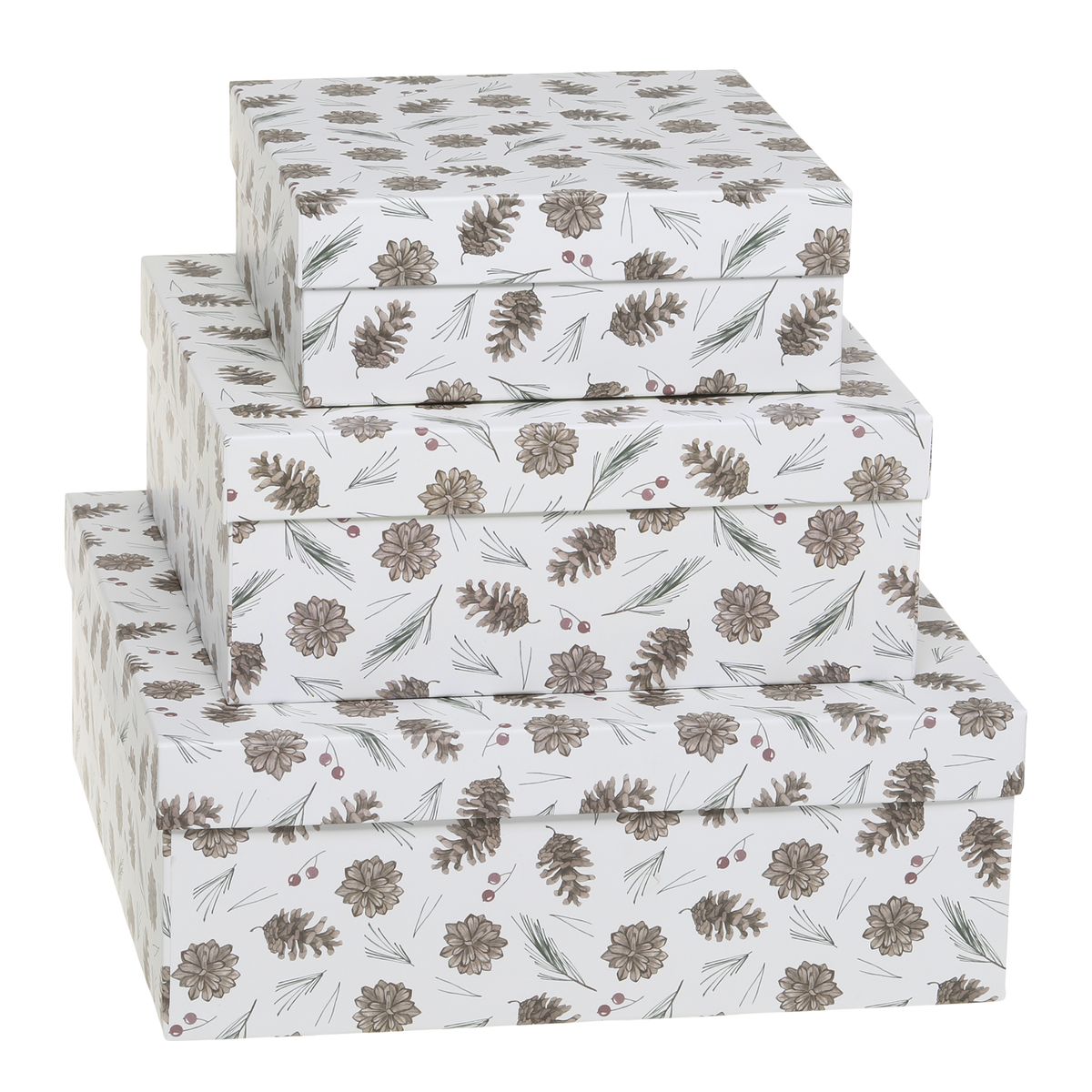 Pine Cone Boxes Set of 3