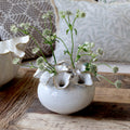 Floral Display Vase (12 Holes)