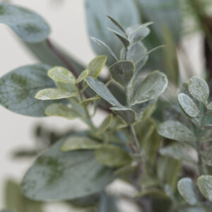 Foliage and Fircone Tree Large