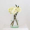 Hydrangea Cream
