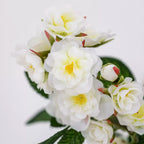 Climbing Rose Cream
