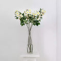 Climbing Rose Cream