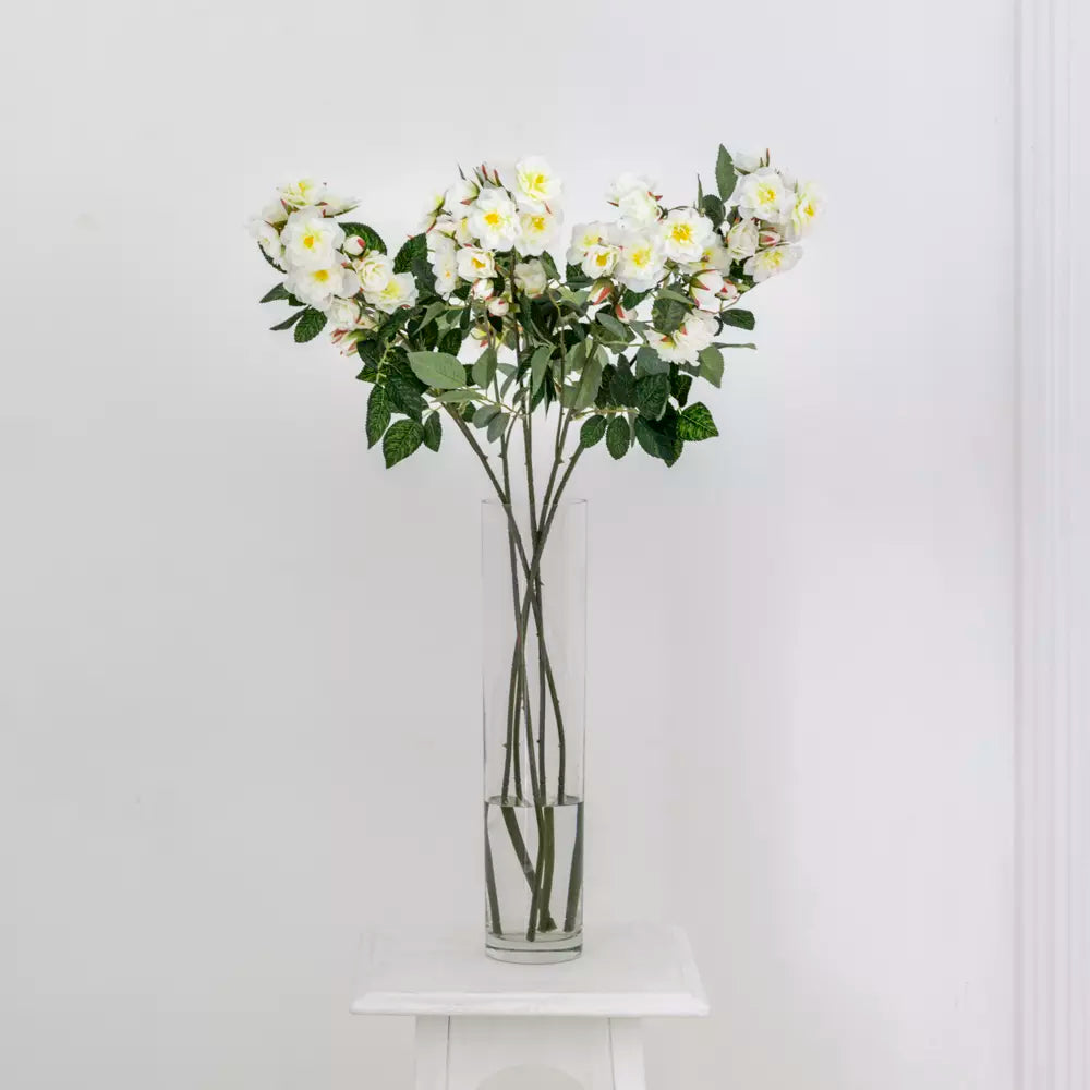 Climbing Rose Cream